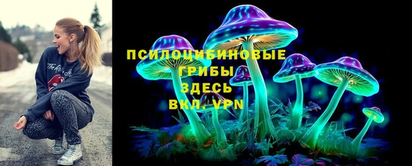 спайс Богородск