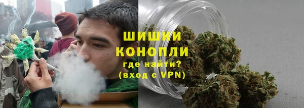 прущий лед Бородино