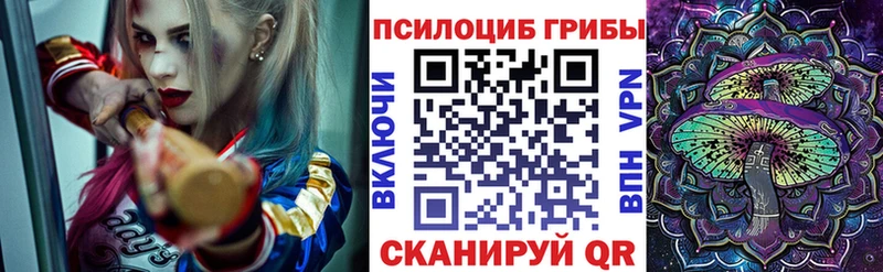 OMG как зайти Великий Устюг Галлюциногенные грибы GOLDEN TEACHER