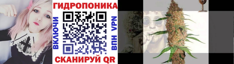 Марихуана семена  Великий Устюг 